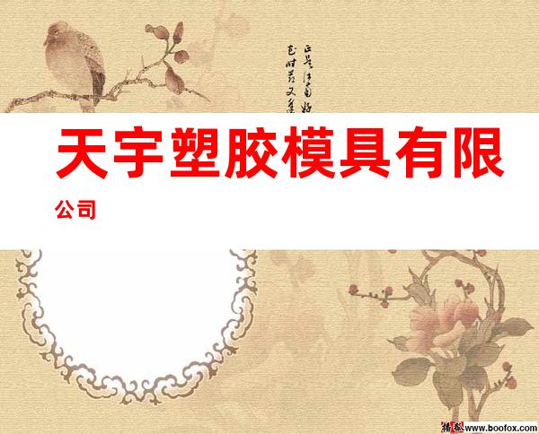 天宇塑胶模具有限公司